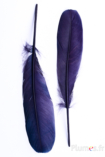 Cygne Soie - 25-30 cm - anthracite
